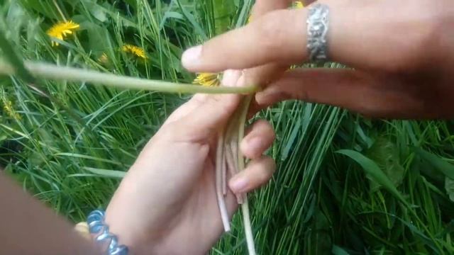 Как плести венок из одуванчиков. Легко и просто. ???? смотреть онлайн