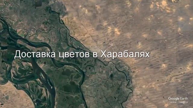Доставка цветов в Харабалях - Заказ букетов от компании Скорая подарочная помощь смотреть онлайн