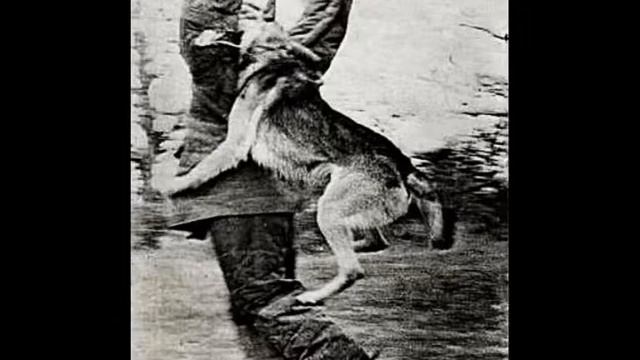 Гадрут 1984-86... ПВ КГБ СССР