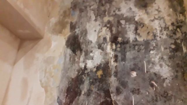 Сняли старые обои, а там такое ... смотреть онлайн