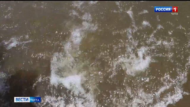 МЧС прогнозирует рост уровня воды в реках Забайкалья смотреть онлайн