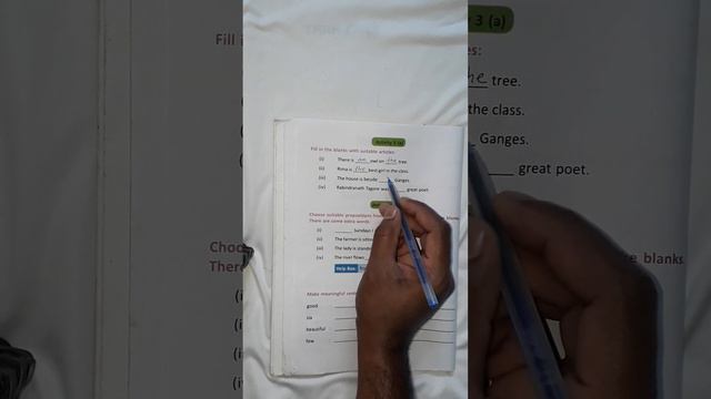 Class-vi, English Revision Lesson, Part-1,Activity Solve смотреть онлайн
