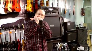 Обзор губной гармошки Suzuki P365-HMD. Демонстрирует Андрей Войтюк.