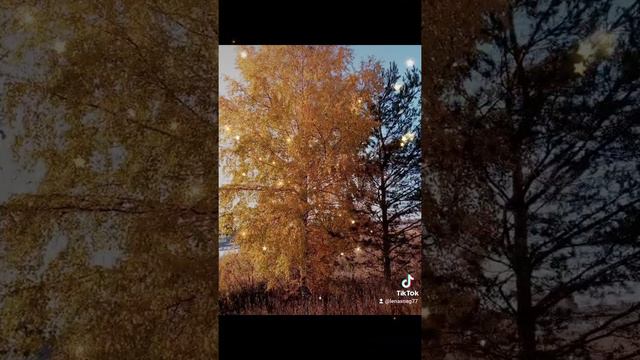 Наши дети выбирают нас.... В родители)