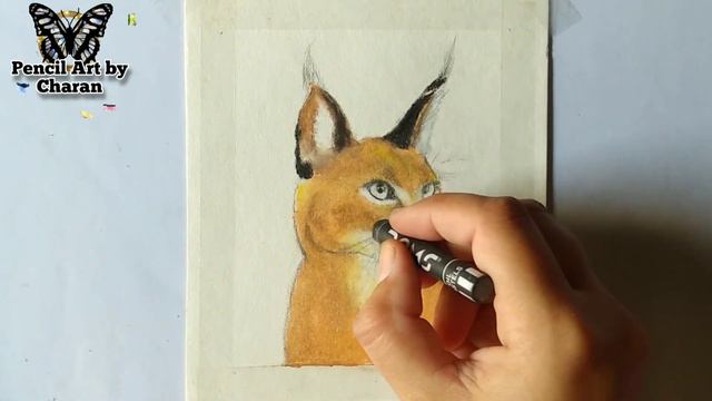 Caracal Cat Drawing || Animal Drawing Step By Step || Cat смотреть онлайн