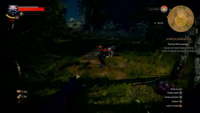 The Witcher III PS4 Pro