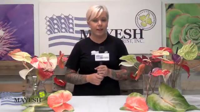 August 2013 Wholesale Flower Product Showcase - Anthurium смотреть онлайн