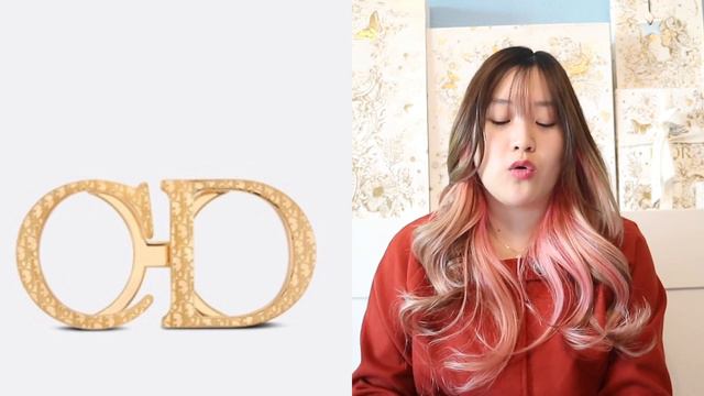 Dior Christmas Gift Ideas For Him Under $1,000- SLGs, Belt Buckle, Belt Strap, RTW, Chain Bracelet