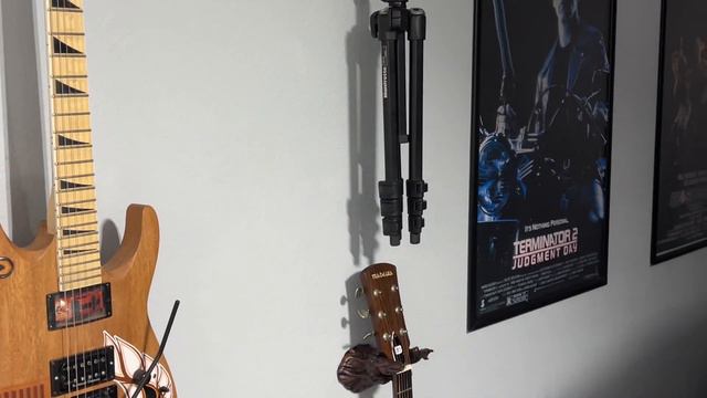 Crane Flies In San Antonio: Signs Of An Early Spring? Or A “New Clear” Winter? - A Non-Biting Insec смотреть онлайн