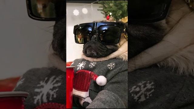 Флешмоб 2019 ❤️? смотреть онлайн