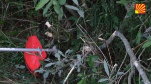 ВЫБИРАЕМ ДИСК ДЛЯ ТРИММЕРА!