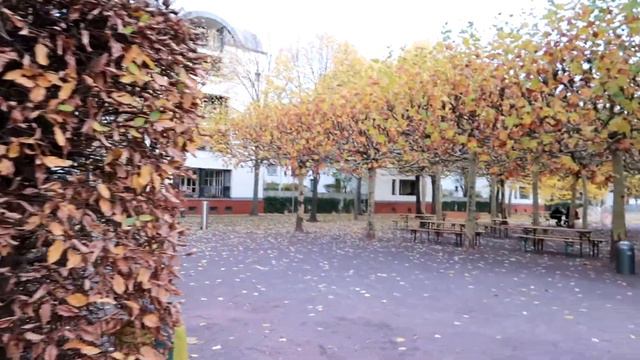 VLOG - Берлин. Дрезден. Потсдам смотреть онлайн