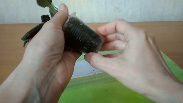 Залили фиалку - что делать? смотреть онлайн