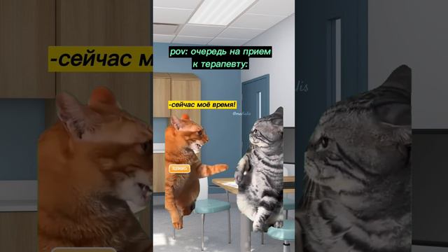 Очередь К Терапевту Би Лайк: