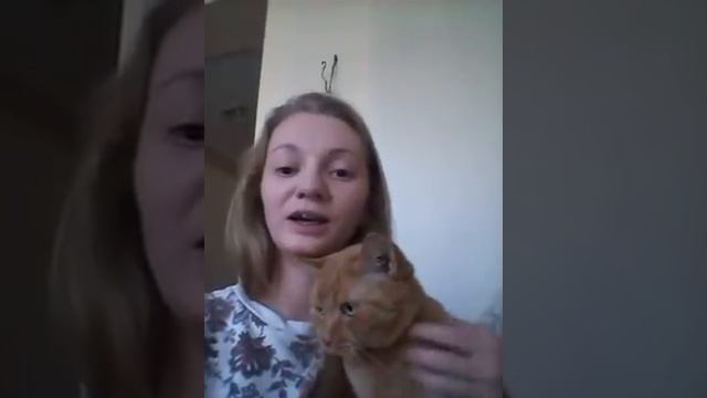 Проект "Делаю для Мира". Видеосюжет Павлюченко Елены "Мой питомец из приюта" смотреть онлайн