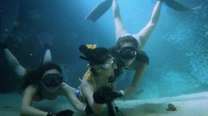 Three freediving girls’ fun selfie with sardines 🐟❤️