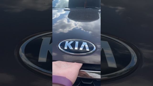 Осмотр авто перед поездкой