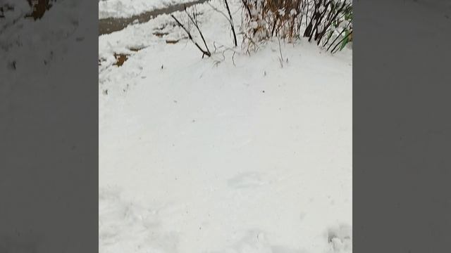 снеговик с первого снега смотреть онлайн