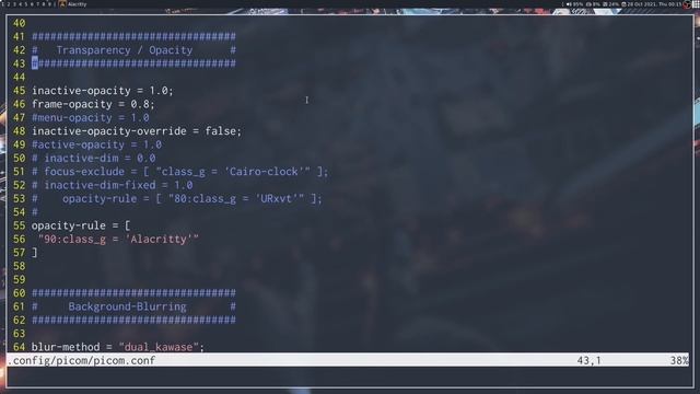 VOID LINUX - Adicionando blur via picom-ibhagwan смотреть онлайн