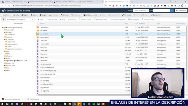 ➤ Cómo subir un Plugin, Tema o Imagen MUY PESADO que Wordpress no te deja subir смотреть онлайн