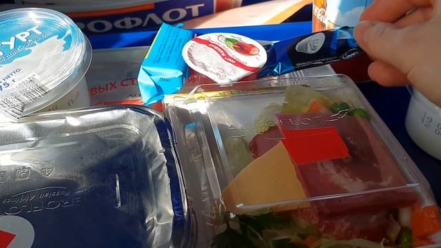 ЖЕСТЬ В САМОЛЕТЕ! Перелет Москва-Амстердам (Шереметьево-Schiphol) ㋛ Штукенция смотреть онлайн