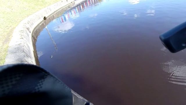 Тестирую Abu Garcia Orra 2 SX