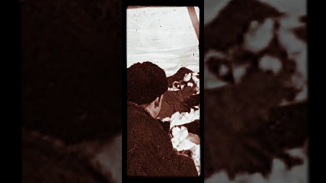 Перевал Дятлова ч. 146 Юрий Яровой. Глава 12 (12) #перевалдятлова смотреть онлайн