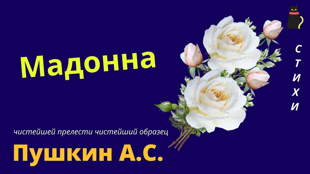 ПУШКИН А.С. МАДОННА, смотреть онлайн