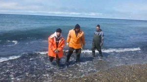 Ловля мойвы