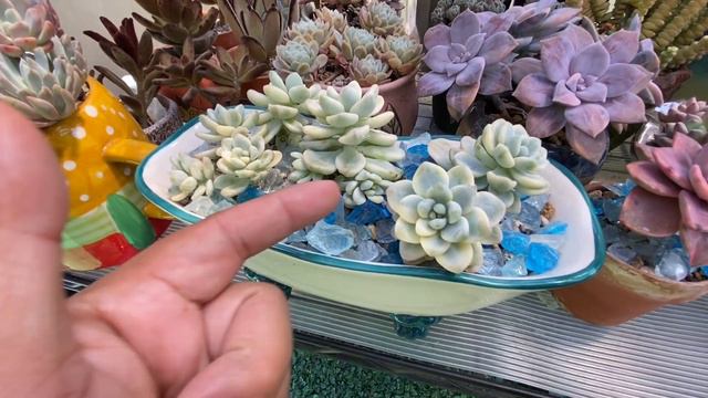 Let's talk about Sunlight Exposure (Philippines) смотреть онлайн