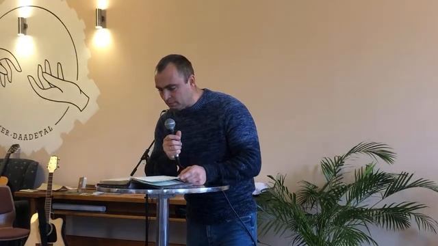 Два дерева в саду смотреть онлайн