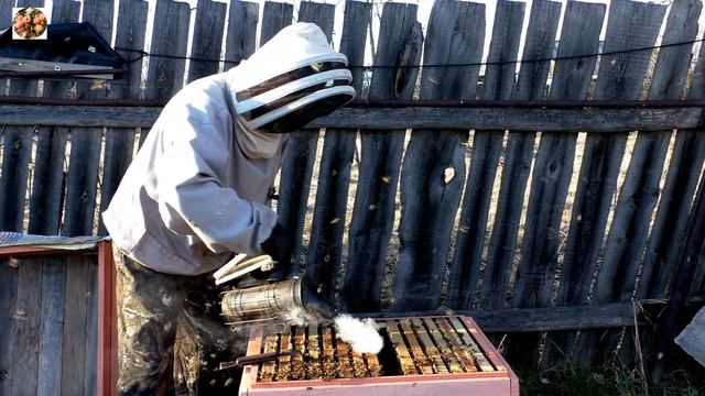 Быстрое развитие семей. Ставлю магазин. смотреть онлайн
