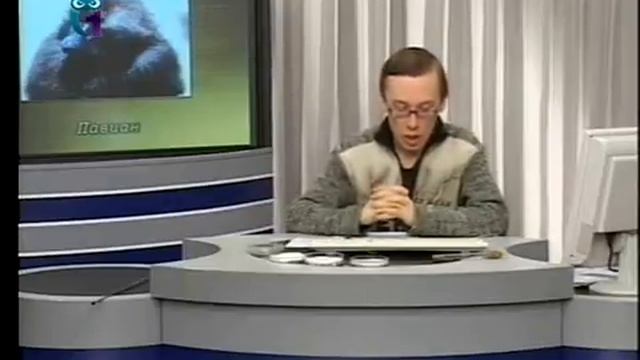 Урок 7. Кривые роста популяций. Изменение численности популяций смотреть онлайн