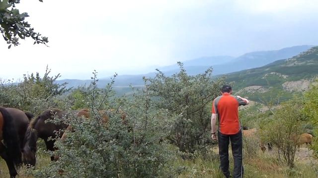 МТБ Харцызск. Нежданный... Крымский. смотреть онлайн