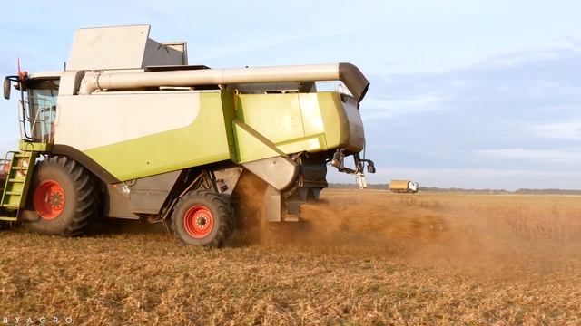 ТРИ ПОКОЛЕНИЯ CLAAS LEXION на уборке гороха 2023! смотреть онлайн