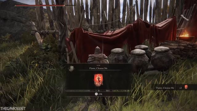 How To Remove Scarlet Rot in Elden Ring смотреть онлайн