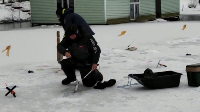 NFISHER 28.01.23 смотреть онлайн