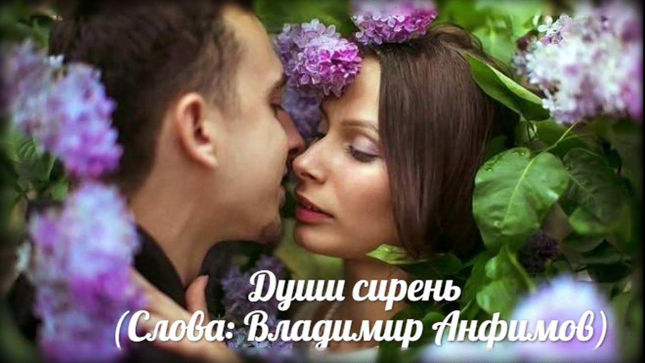 Дмитрий Шабанов - Души сирень (Слова: Владимир Анфимов)