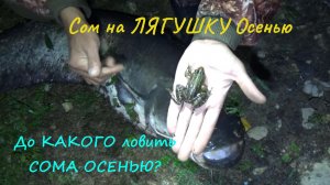 Рыбалка на СОМА ОСЕНЬЮ! КАК не НАДО ДЕЛАТЬ! ТАМ Судак, а ТУТ СОМ!
