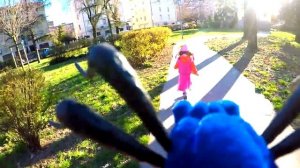 Паук напал на ребенка Тарантул  Spider in the park видео для детей