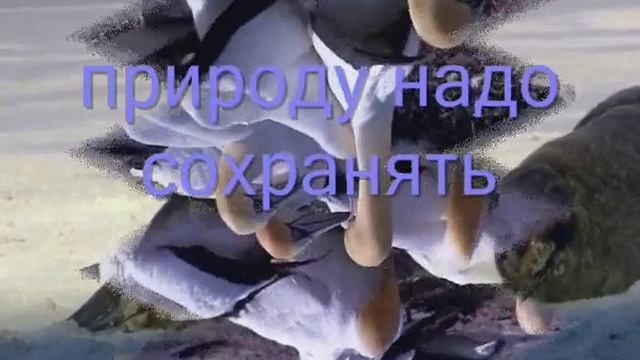 Природу надо охранять смотреть онлайн
