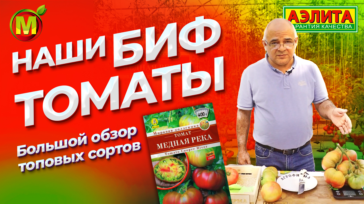 10 ТОПОВЫХ салатных сортов. Обзор наших БИФ-ТОМАТОВ. смотреть онлайн