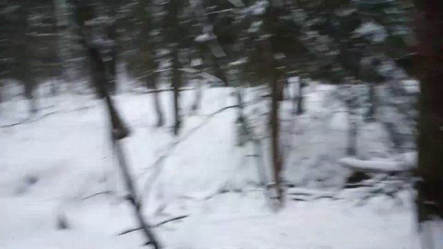 ЛО: русло небольшой реки смотреть онлайн