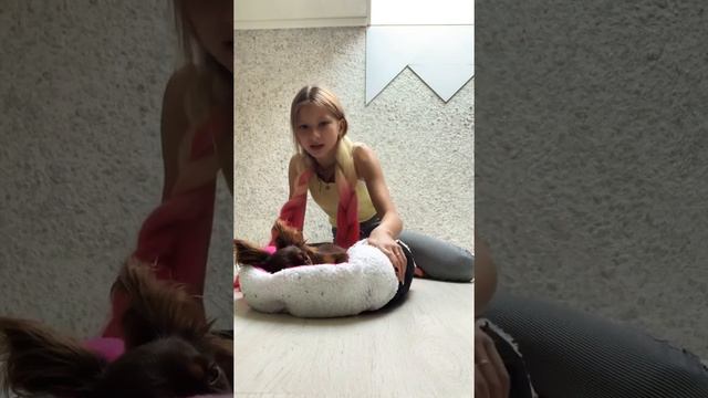 Что нужно для приобретение щенка в доме смотреть онлайн