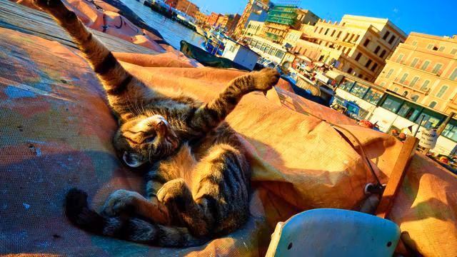 Музыка про осень. Красивая грустная музыка. Вы должн... смотреть онлайн