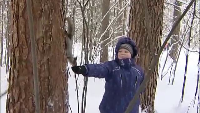 Что едят белки зимой смотреть онлайн