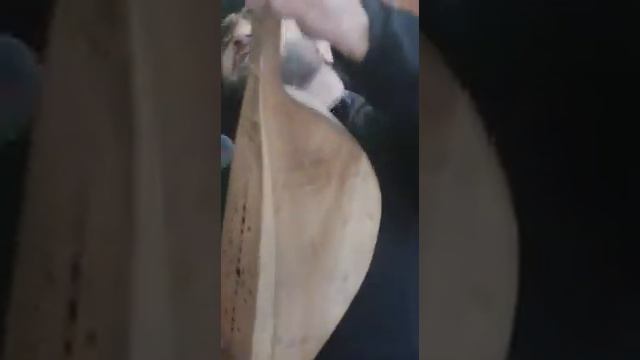 Алискандиев МухаммадХабиб Аварский Пандур Гоготль Куяда Алискандиев Абрек Аль АВАРЫ смотреть онлайн