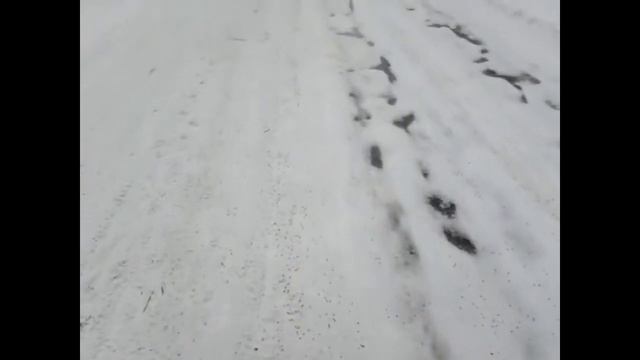 Дорога посыпана зерном смотреть онлайн