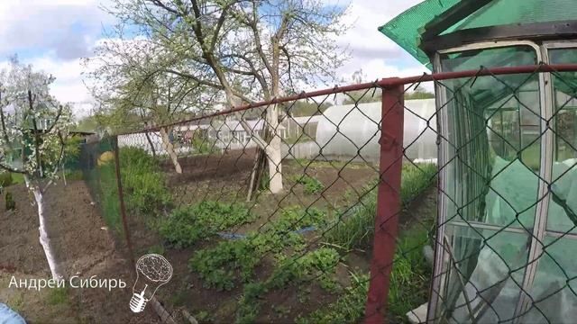 ОПОРЫ (ШПАЛЕРЫ) ДЛЯ ВЬЮЩИХСЯ РАСТЕНИЙ .ОТ ОГУРЦОВ ДО ФАСОЛИ,ПОДОЙДЁТ ДЛЯ ЧЕГО УГОДНО,ПРОСЛУЖИТ ГОДА смотреть онлайн