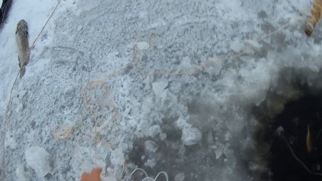 Зимний налим!!! смотреть онлайн